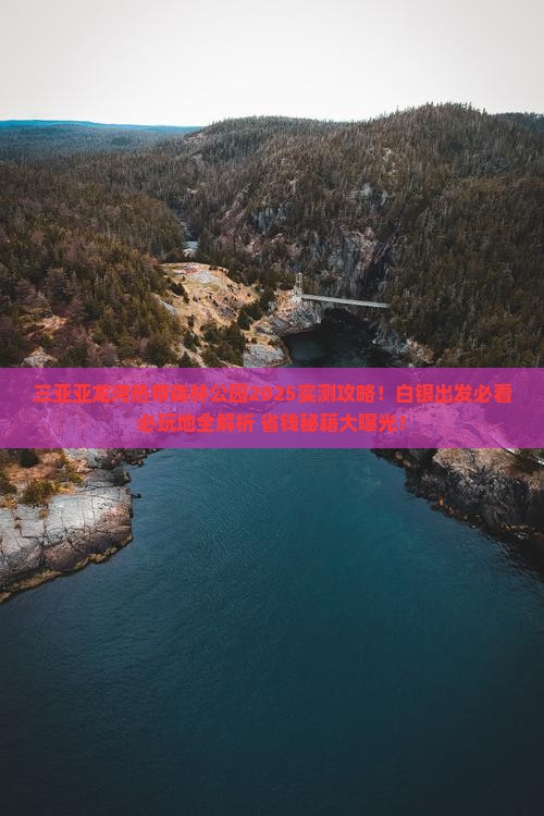 白银出发三亚亚龙湾热带森林公园必玩地