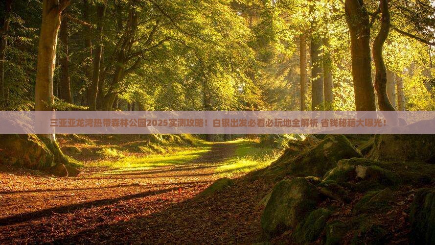 白银出发三亚亚龙湾热带森林公园必玩地