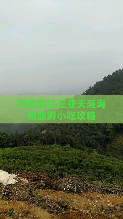 荆州前往三亚天涯海角旅游小吃