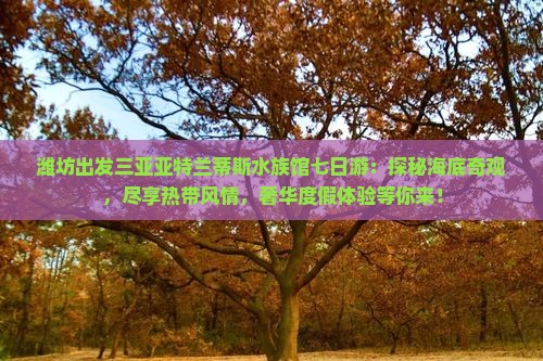 潍坊出发三亚亚特兰蒂斯水族馆七日游