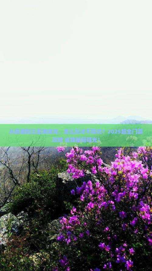 抚顺去三亚海棠湾门票