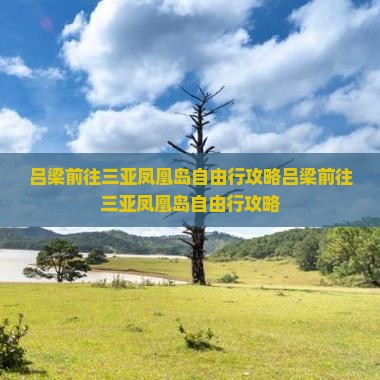 吕梁前往三亚凤凰岛自由行