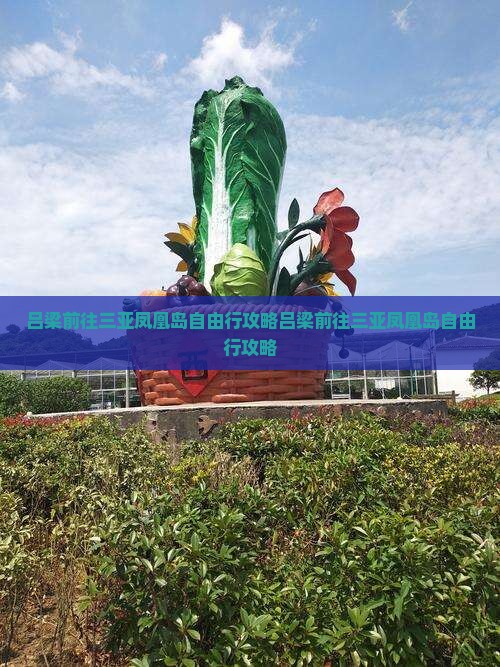 吕梁前往三亚凤凰岛自由行