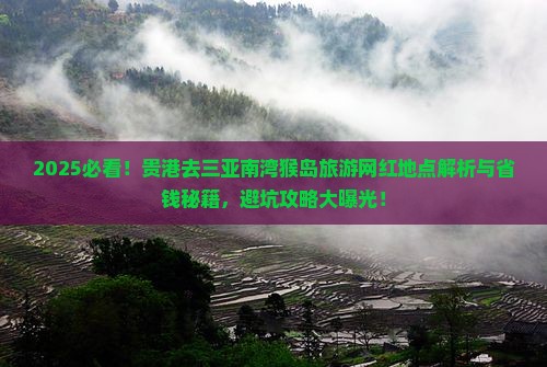 贵港去三亚南湾猴岛旅游网红地点