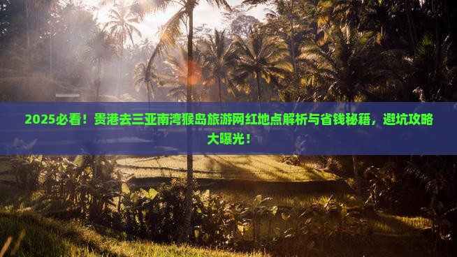 贵港去三亚南湾猴岛旅游网红地点