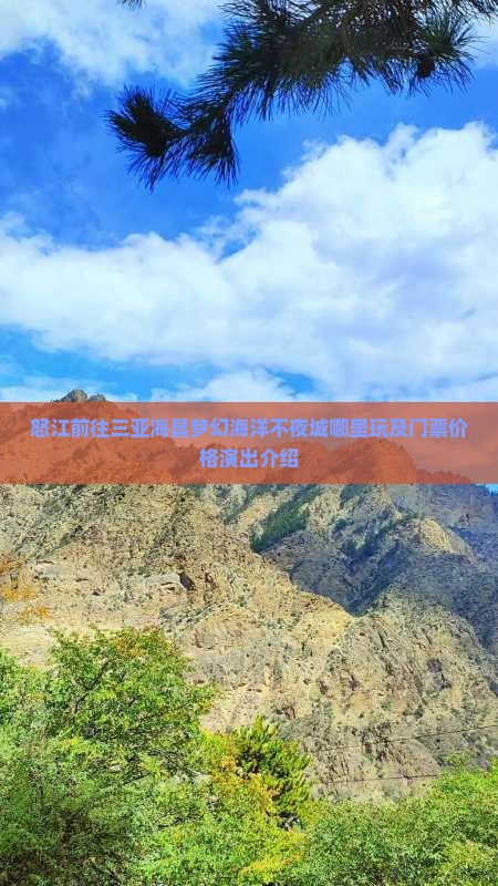 怒江前往三亚海昌梦幻海洋不夜城哪里玩