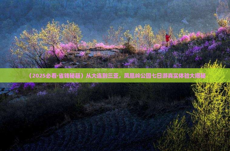 大连出发三亚凤凰岭公园七日游