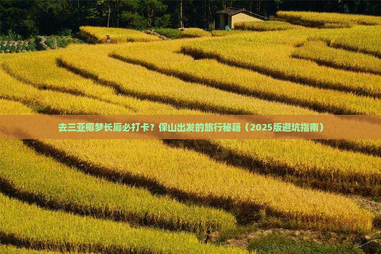保山前往三亚椰梦长廊必玩地