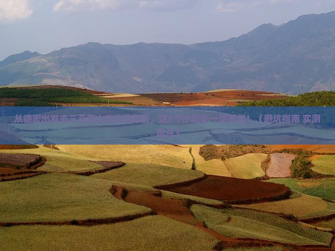 德宏出发三亚南山文化旅游区旅游小吃