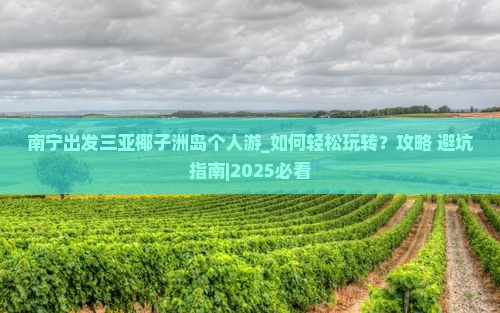 南宁出发三亚椰子洲岛个人游