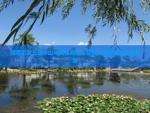 鸡西出发三亚半山半岛帆船港五日游