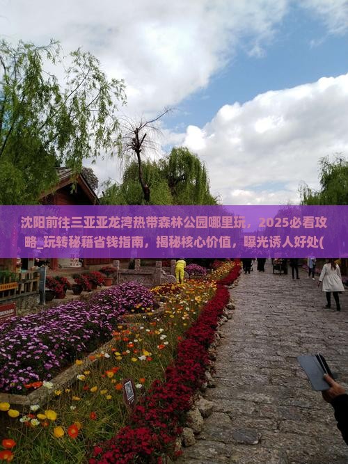 沈阳前往三亚亚龙湾热带森林公园哪里玩