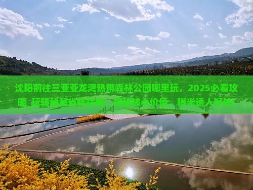 沈阳前往三亚亚龙湾热带森林公园哪里玩