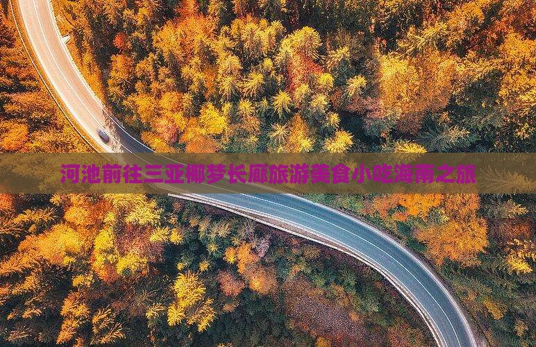 河池前往三亚椰梦长廊旅游小吃