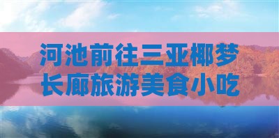 河池前往三亚椰梦长廊旅游小吃
