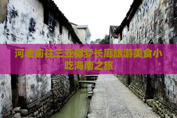 河池前往三亚椰梦长廊旅游小吃