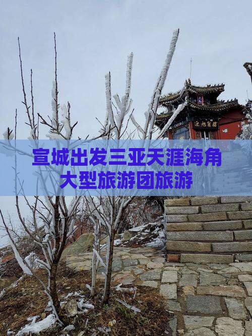 宣城出发三亚天涯海角大型旅游团