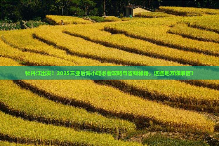 牡丹江去三亚后海旅游小吃