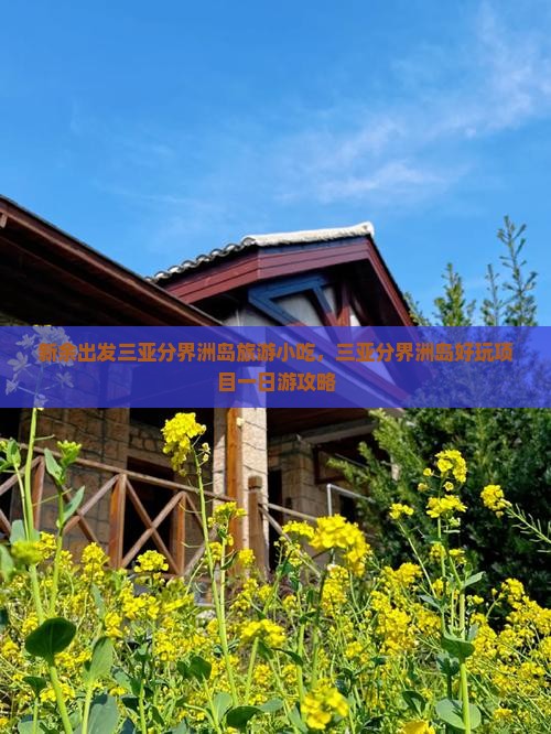 新余出发三亚分界洲岛旅游小吃