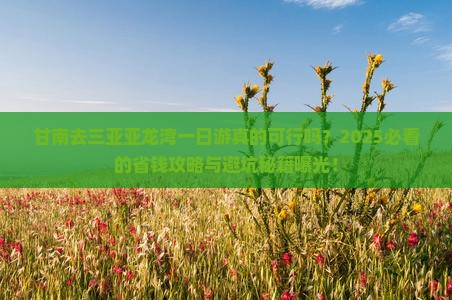 甘南去三亚亚龙湾一日游