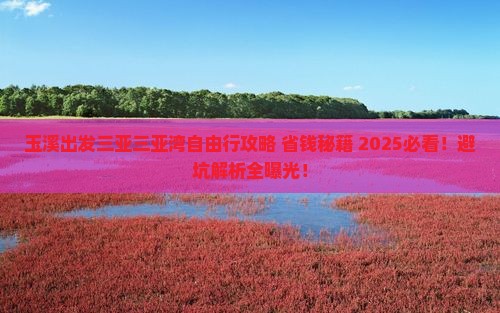 玉溪出发三亚三亚湾自由行