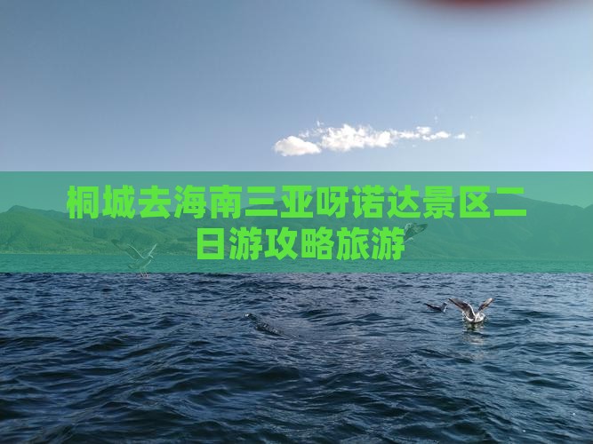 桐城去三亚呀诺达景区二日游