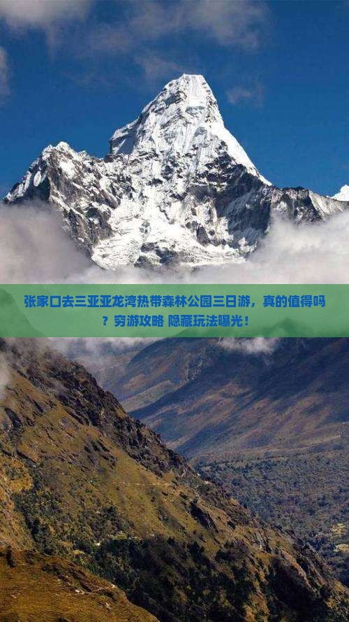 张家口去三亚亚龙湾热带森林公园三日游