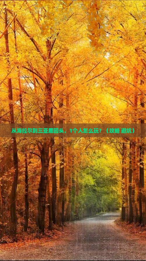 海拉尔前往三亚鹿回头个人游