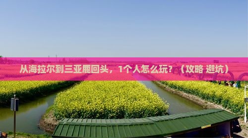 海拉尔前往三亚鹿回头个人游
