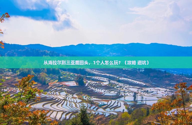 海拉尔前往三亚鹿回头个人游
