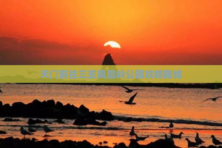 天门前往三亚凤凰岭公园攻略 天门前往三亚凤凰岭公园攻略