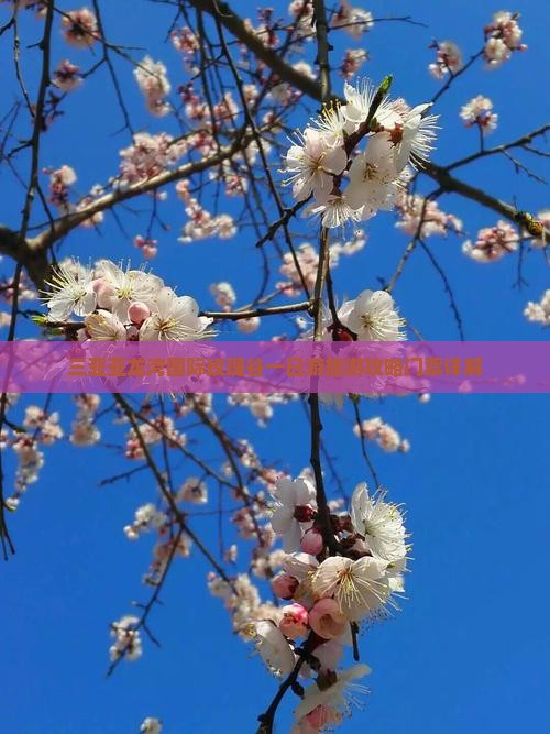 鞍山去三亚亚龙湾国际玫瑰谷一日游