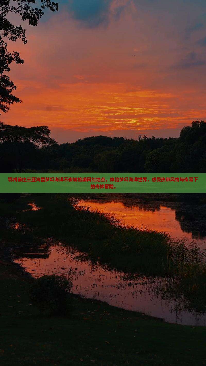 鄂州前往三亚海昌梦幻海洋不夜城旅游网红地点