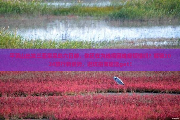平顶山出发三亚呆呆岛六日游