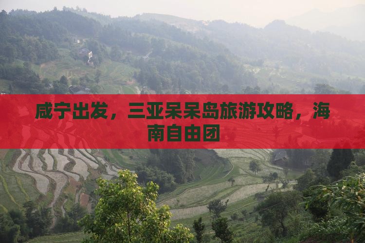 咸宁前往三亚呆呆岛自由团