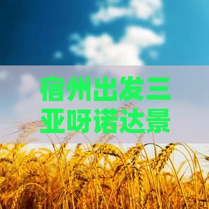 宿州出发三亚呀诺达景区七日游