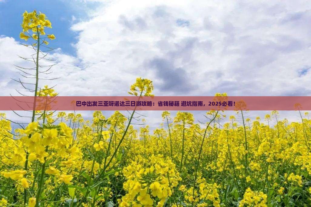 巴中出发三亚呀诺达景区三日游