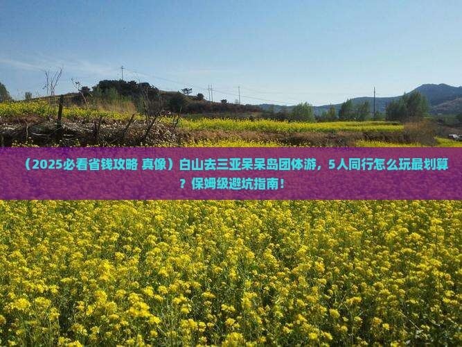 白山前往三亚呆呆岛团体旅游