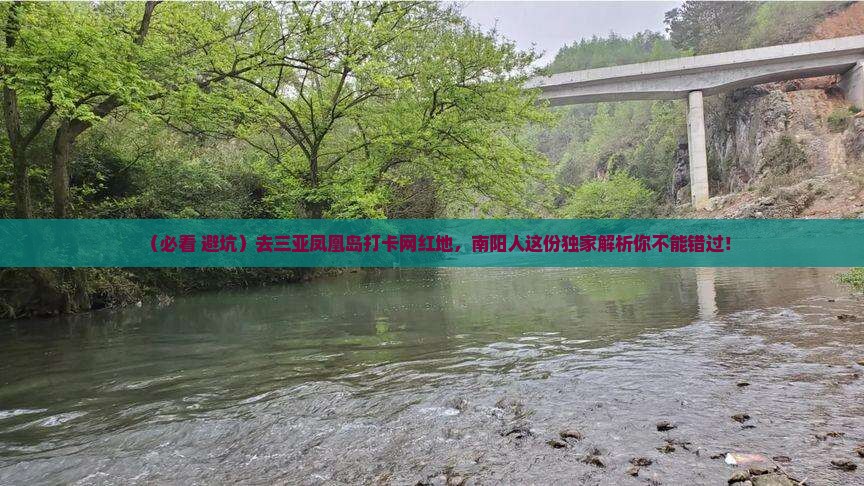 南阳去三亚凤凰岛旅游网红地点