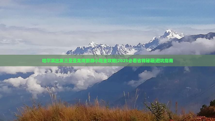 哈尔滨出发三亚亚龙湾旅游小吃