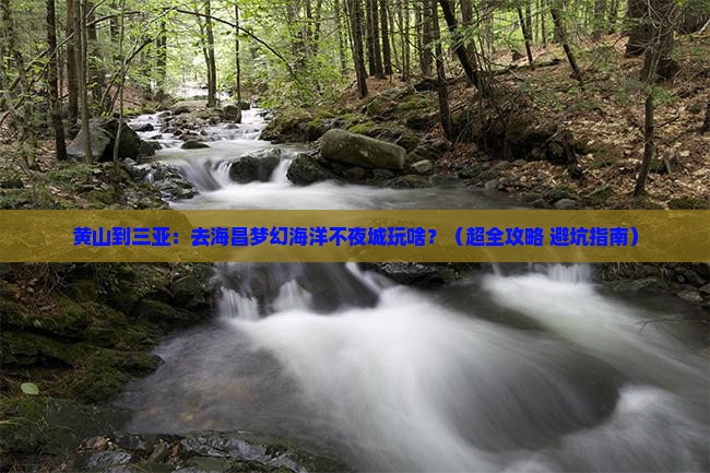 黄山出发三亚海昌梦幻海洋不夜城自由团