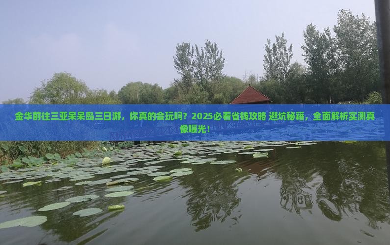 金华前往三亚呆呆岛三日游