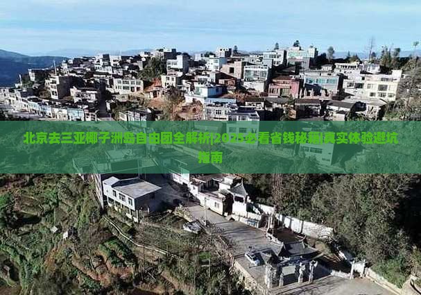 北京去三亚椰子洲岛自由团