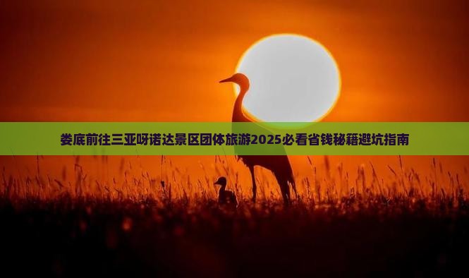 娄底前往三亚呀诺达景区团体旅游