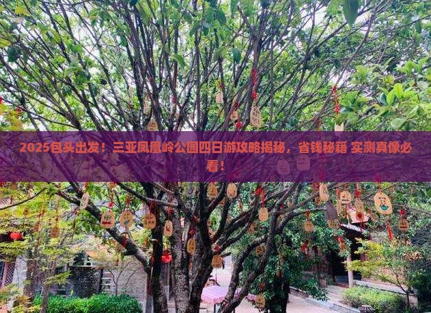 包头前往三亚凤凰岭公园四日游