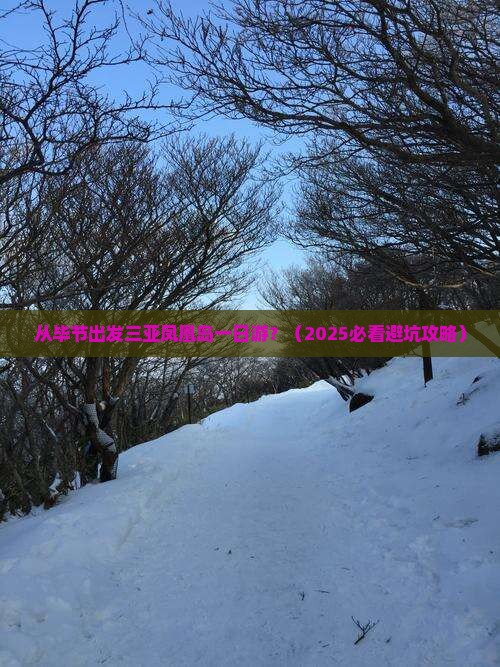 毕节出发三亚凤凰岛一日游