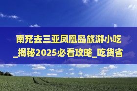 南充去三亚凤凰岛旅游小吃
