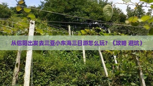 信阳去三亚小东海三日游