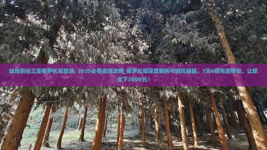 蚌埠前往三亚椰梦长廊旅游