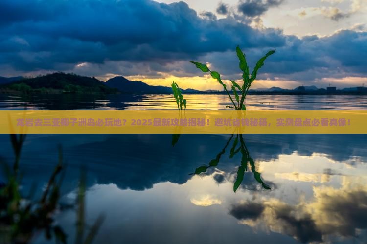龙岩去三亚椰子洲岛必玩地